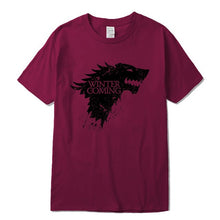 Load image into Gallery viewer, Winter Is Coming T-Shirt