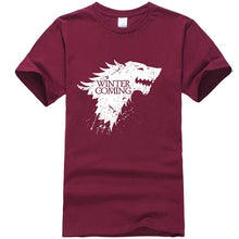 Load image into Gallery viewer, Winter Is Coming T-Shirt
